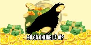 Đá Gà Online Là Gì