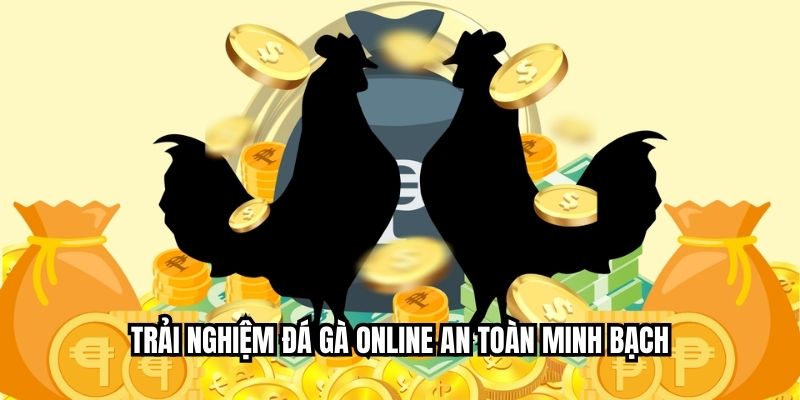 Trải nghiệm đá gà online an toàn minh bạch
